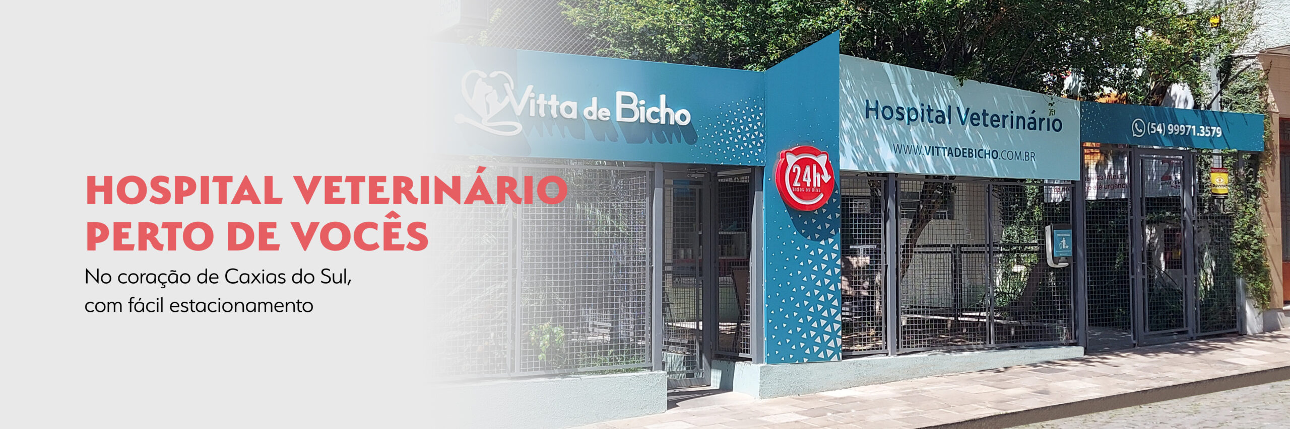 Conheça a melhor clínica veterinária 24 horas em Caxias do Sul: Vitta de Bicho, atendimento de confiança para emergências com seu pet.